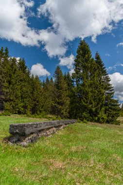 Krusne dağlarında taze çayırları ve ormanları olan Prebuz köyü