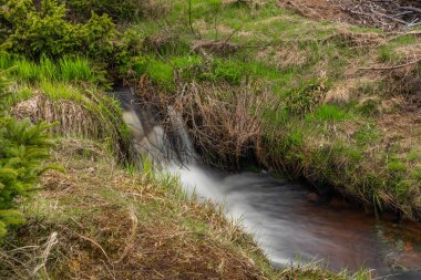 Krusne dağlarında taze çayır ve ormanları olan Rolava nehri.