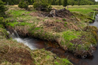 Krusne dağlarında taze çayır ve ormanları olan Rolava nehri.