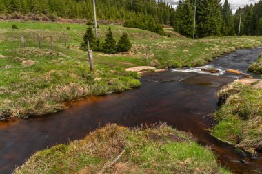 Krusne dağlarında taze çayır ve ormanları olan Rolava nehri.