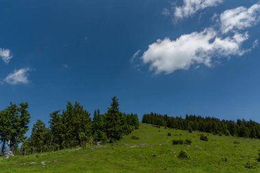 Schockl Hill ve Ehrenfels şatosu yaz mevsiminde Sankt Radegund kasabası yakınlarında.