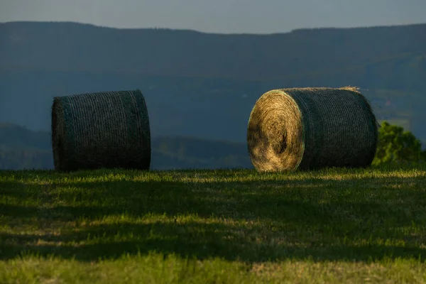 Paisaje Cerca Del Pueblo Roprachtice Primavera Verano Tarde Verde — Foto de Stock