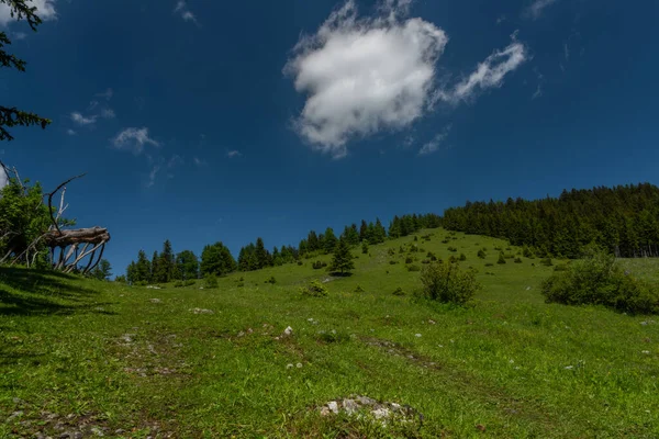 Schockl Colina Castelo Ehrenfels Perto Cidade Sankt Radegund Cor Verão — Fotografia de Stock