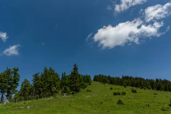 Schockl Hügel Und Burg Ehrenfels Bei Sankt Radegund Sommer — Stockfoto