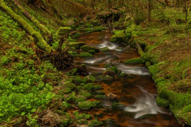Skrivan renk deresi soğuk yağmurdan sonra bahar sabahı Krusne dağlarında