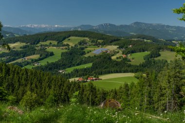 Güney Avusturya 'da inekler için yeşil çayırlar ve çitlerle Niederer Schockl Tepesi' nin yanından geçeceğiz.