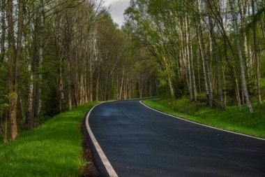 Kuzey Bohemya 'daki Nejdek kasabası yakınlarında yağan yağmurdan sonra yağışlı siyah yolda renk sabahı