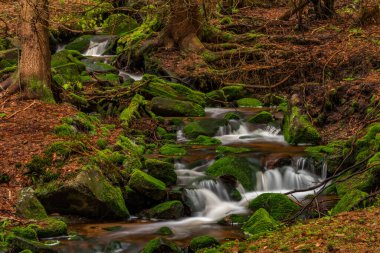 Skrivan renk deresi soğuk yağmurdan sonra bahar sabahı Krusne dağlarında