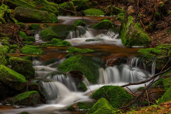 Skrivan Farbe Bach Krusne Berge Frühling Morgen Nach Kaltem Regen — Stockfoto