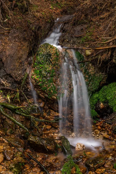 Маленький Водопад Возле Долины Лиси Весенним Цветом Свежий Влажный День — стоковое фото