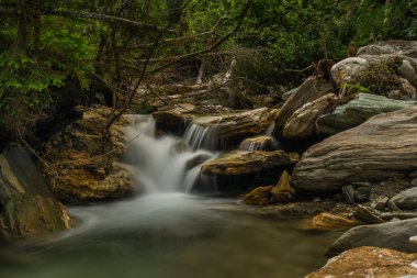 Yaz sıcağında Huttschag köyünün yakınlarında güzel bir renk, temiz bir yaban deresi.