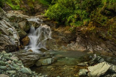 Yazın sıcak bir günde Wolfau köyünün yakınındaki güzel bir renk, temiz bir yaban deresi.