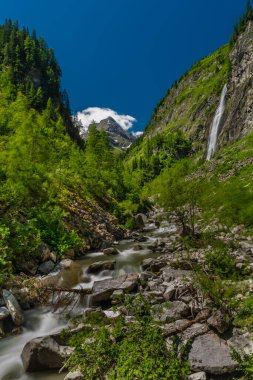 Sportgastein yakınlarındaki Schleierfall Şelalesi. Büyük renkli yaz dağları arasında.