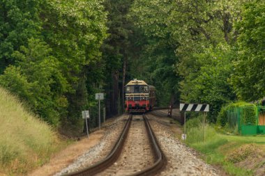 Prag 'ın güneyindeki Sazava nehrinin yakınındaki dizel kırmızı tren yaz bulutlu karanlık bir günde