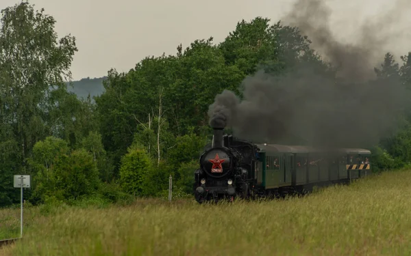 Pociąg Parowy Pobliżu Rzeki Sazava Południu Pragi Letni Pochmurny Ciemny — Zdjęcie stockowe