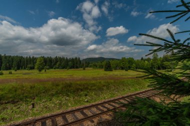 Ulusal park Sumava 'da demiryolu. Renkli yeşil ormanlar ve çayırlar.