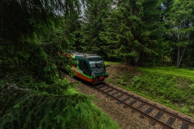 Ulusal park Sumava 'da demiryolu. Renkli yeşil ormanlar ve çayırlar.