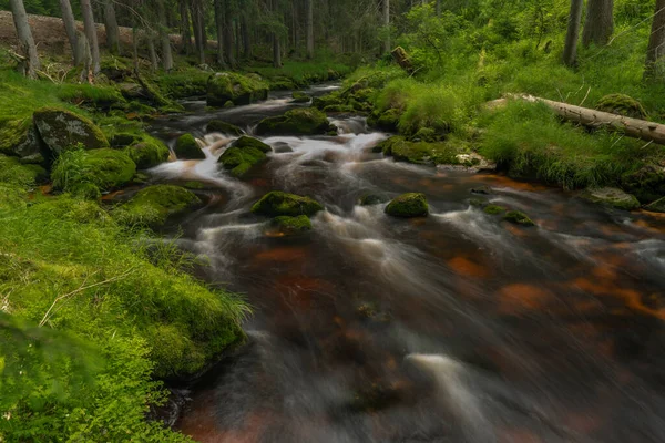 Color Verano Studena Vltava Río Cerca Stozec Pueblo Parque Nacional — Foto de Stock