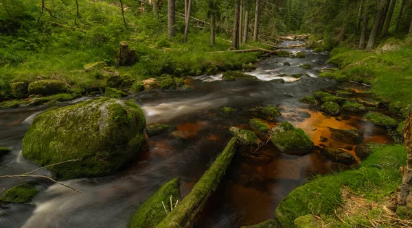 Color Verano Studena Vltava Río Cerca Stozec Pueblo Parque Nacional —  Fotos de Stock