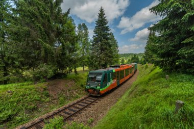 Ulusal park Sumava 'da demiryolu. Renkli yeşil ormanlar ve çayırlar.