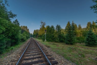 Ulusal park Sumava 'da demiryolu. Renkli yeşil ormanlar ve çayırlar.