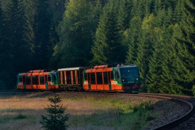 Ulusal park Sumava 'da demiryolu. Renkli yeşil ormanlar ve çayırlar.