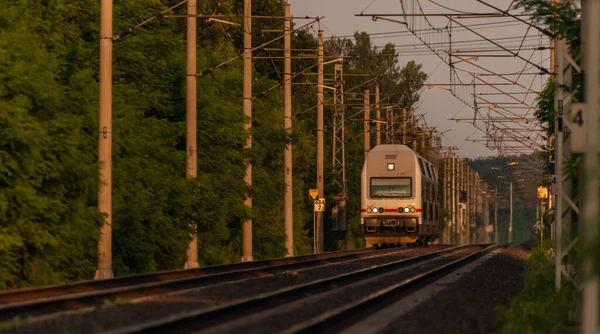 Поезда Небольшой Свисток Олеско Центральной Чехии Закате Оранжевый Вечер — стоковое фото