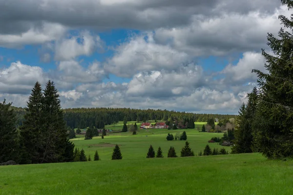 Prebuz Dorp Met Verse Weiden Bossen Het Krusne Gebergte — Stockfoto