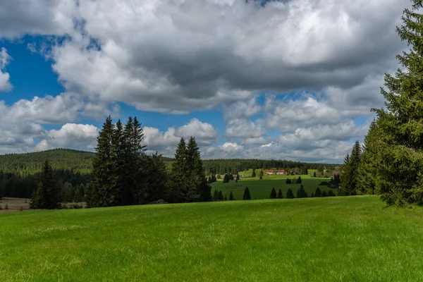 Prebuz Med Färska Ängar Och Skogar Krusnebergen — Stockfoto