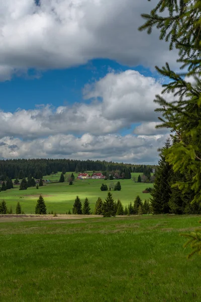 Село Пребуз Свіжими Луками Лісами Горах Крусна — стокове фото