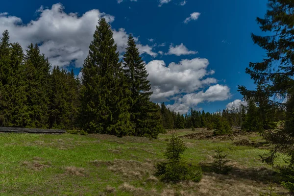 Prebuz Village Fresh Meadows Forests Krusne Mountains — Stock Photo, Image