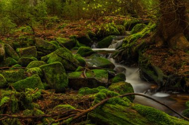 Skrivan renk deresi soğuk yağmurdan sonra bahar sabahı Krusne dağlarında