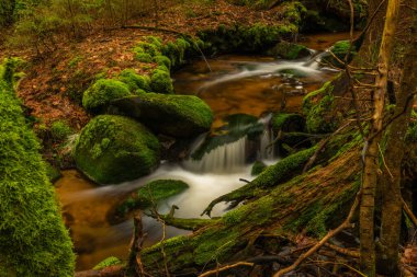 Skrivan renk deresi soğuk yağmurdan sonra bahar sabahı Krusne dağlarında