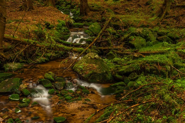 Ruisseau Couleur Skrivan Dans Les Montagnes Krusne Printemps Matin Après — Photo