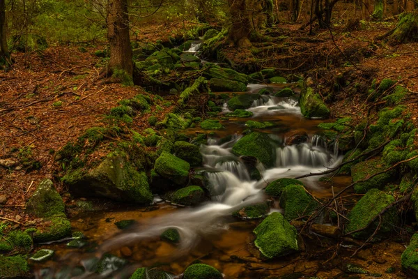 Skrivan Farbe Bach Krusne Berge Frühling Morgen Nach Kaltem Regen — Stockfoto