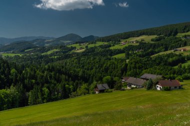 Güney Avusturya 'da inekler için yeşil çayırlar ve çitlerle Niederer Schockl Tepesi' nin yanından geçeceğiz.