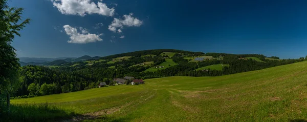 Pass Niederer Schockl Hill Green Meadows Fences Cows South Austria — 스톡 사진