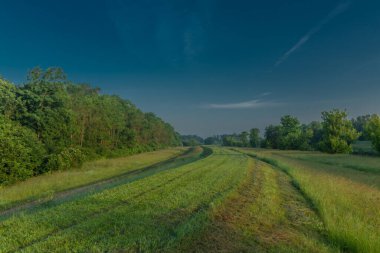 Güney Moravya 'daki Bulhary köyü yakınlarında turuncu renkli gündoğumu olan sis ve nehir Dyje
