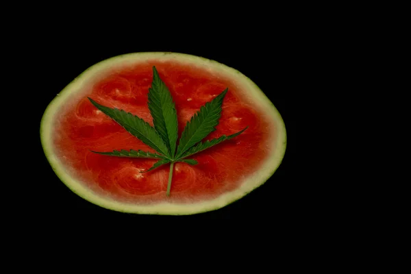 Rote Wassermelone Mit Frischem Dunkelgrünem Blatt Marihuana Blüte — Stockfoto