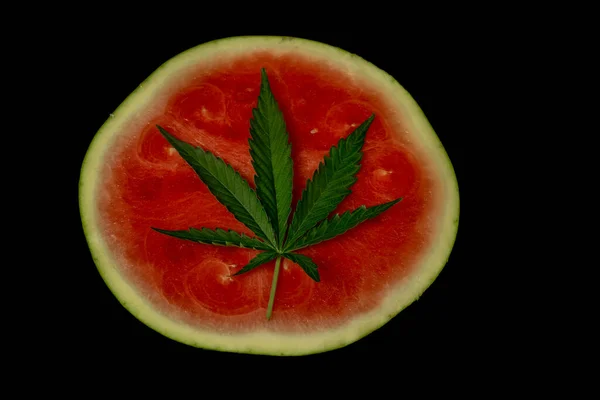 Red Water Melon Fresh Dark Green Leaf Marijuana Flower — Stock Photo, Image