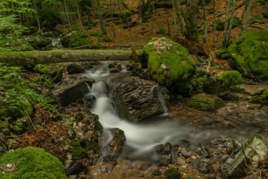 Slovakya 'nın Hrdzavy Vadisi' nde yaz sabahı