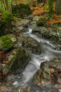 Slovakya 'nın Hrdzavy Vadisi' nde yaz sabahı