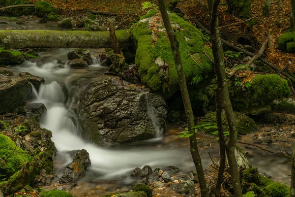 Hrdzavy Potok Barvě Letní Ráno Údolí Hrdzava Slovensku — Stock fotografie