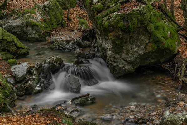 Hrdzavy Creek Χρώμα Πρωί Του Καλοκαιριού Στην Κοιλάδα Hrdzava Στη — Φωτογραφία Αρχείου