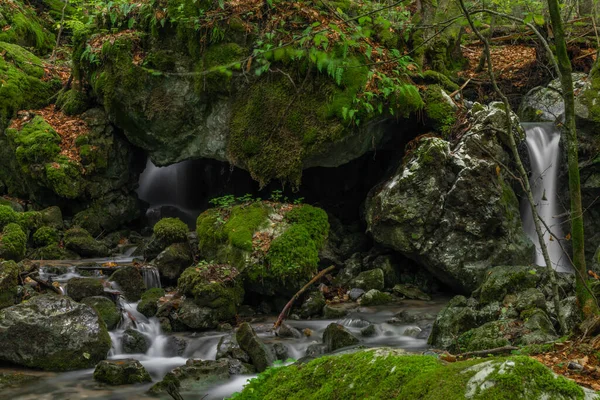 Hrdzavy Bach Farbe Sommermorgen Hrdzava Tal Der Slowakei — Stockfoto