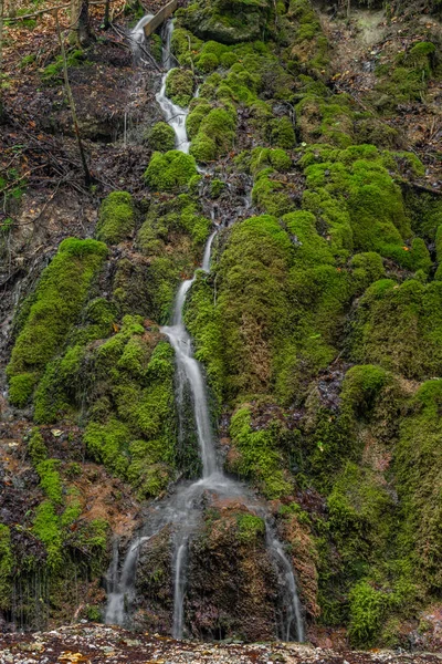 Pequeña Cascada Cerca Del Arroyo Hrdzavy Color Mañana Verano Valle — Foto de Stock