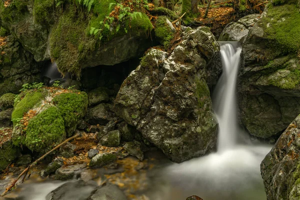 Hrdzavy Torrente Colori Mattina Estate Nella Valle Hrdzava Slovacchia — Foto Stock