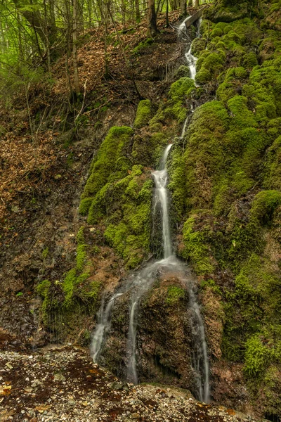 Petite Cascade Près Ruisseau Hrdzavy Couleur Matin Été Dans Vallée — Photo