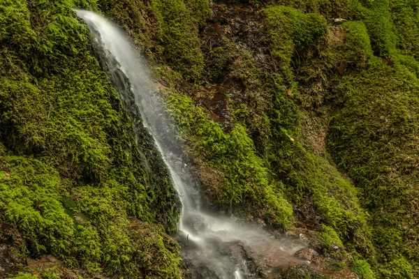 Kleiner Wasserfall Der Nähe Von Hrdzavy Bach Farbe Sommermorgen Hrdzava — Stockfoto