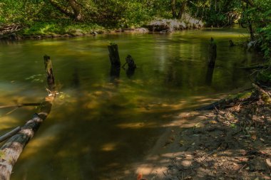 Slovakya 'nın güneşli ve sıcak yaz gününde Liptovsky Hradok kasabası yakınlarındaki Vah nehri